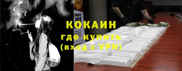 молекула духа Новозыбков