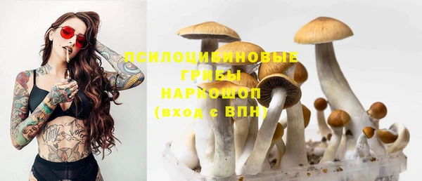 мефедрон Медногорск