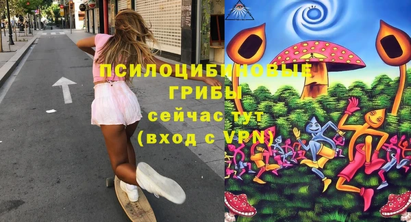 ПСИЛОЦИБИНОВЫЕ ГРИБЫ Медвежьегорск