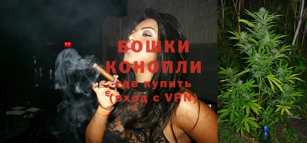 ПСИЛОЦИБИНОВЫЕ ГРИБЫ Медвежьегорск