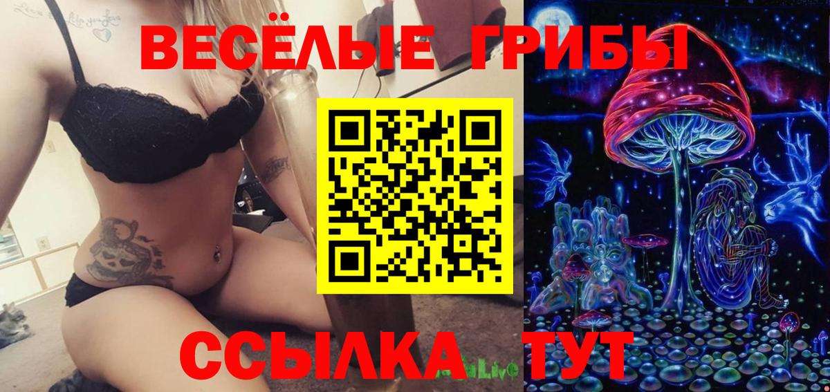 Тихорецк  Псилоцибиновые грибы GOLDEN TEACHER  Галлюциногенные грибы Psilocybe  Вход с VPN 