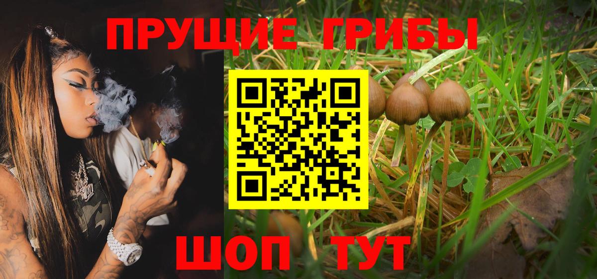 Галлюциногенные грибы GOLDEN TEACHER Тихорецк